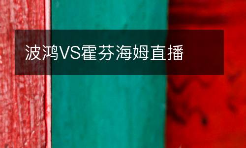 波鸿VS霍芬海姆直播